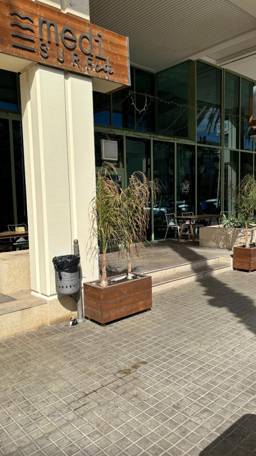 Apartamento Primera Linea De Playa Patacona バレンシア エクステリア 写真